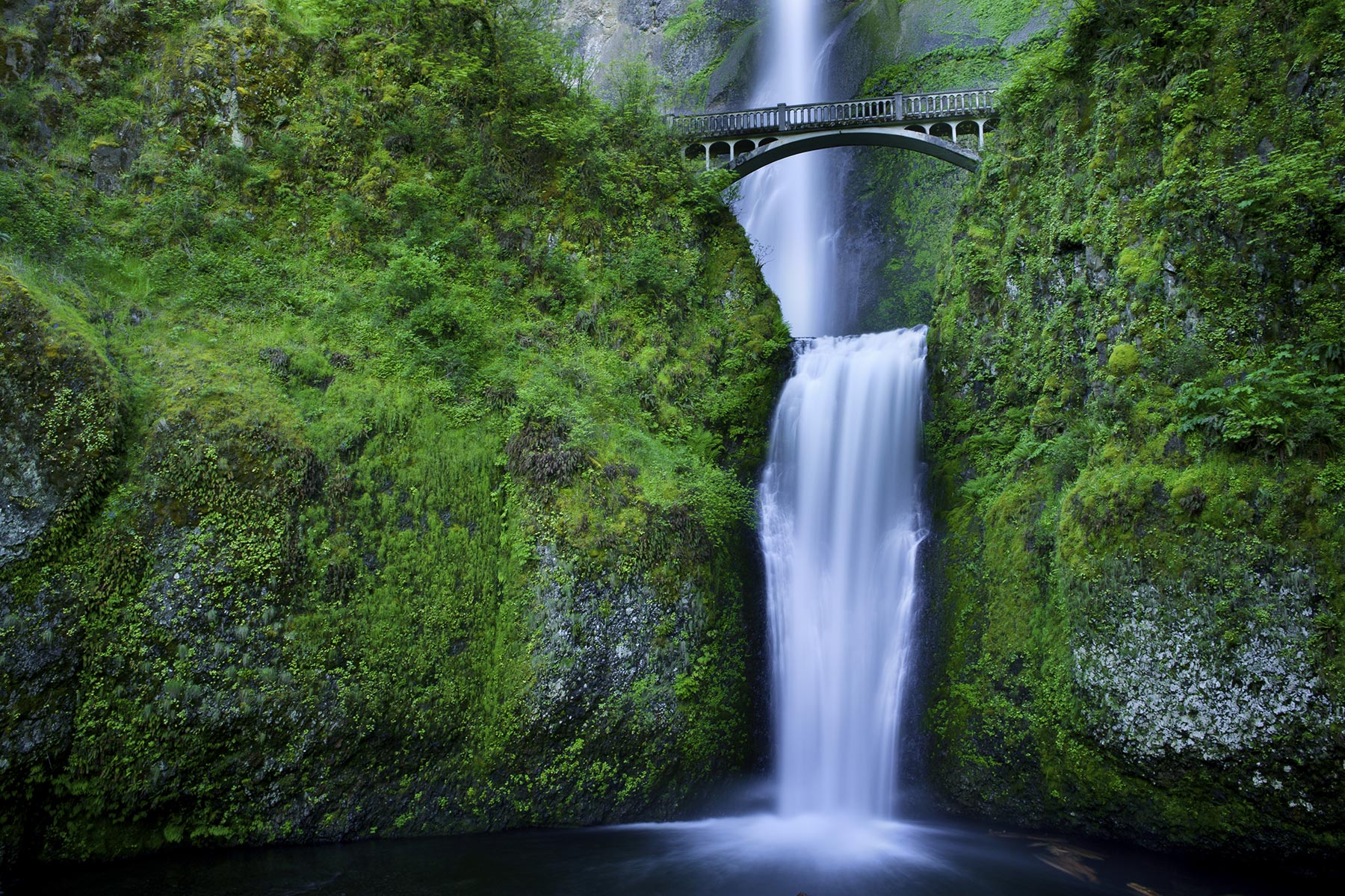 must-visit-portland-spots-featured-image